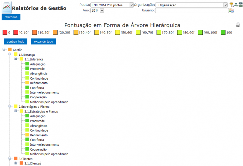 Visão Geral do Relatório de Gestão Pontuado